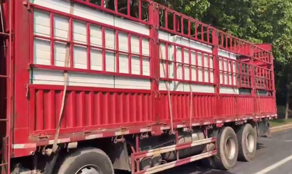 旭東PVC圍擋批發(fā)直供龍崗工地，2500米圍擋當(dāng)天閃電送達(dá)